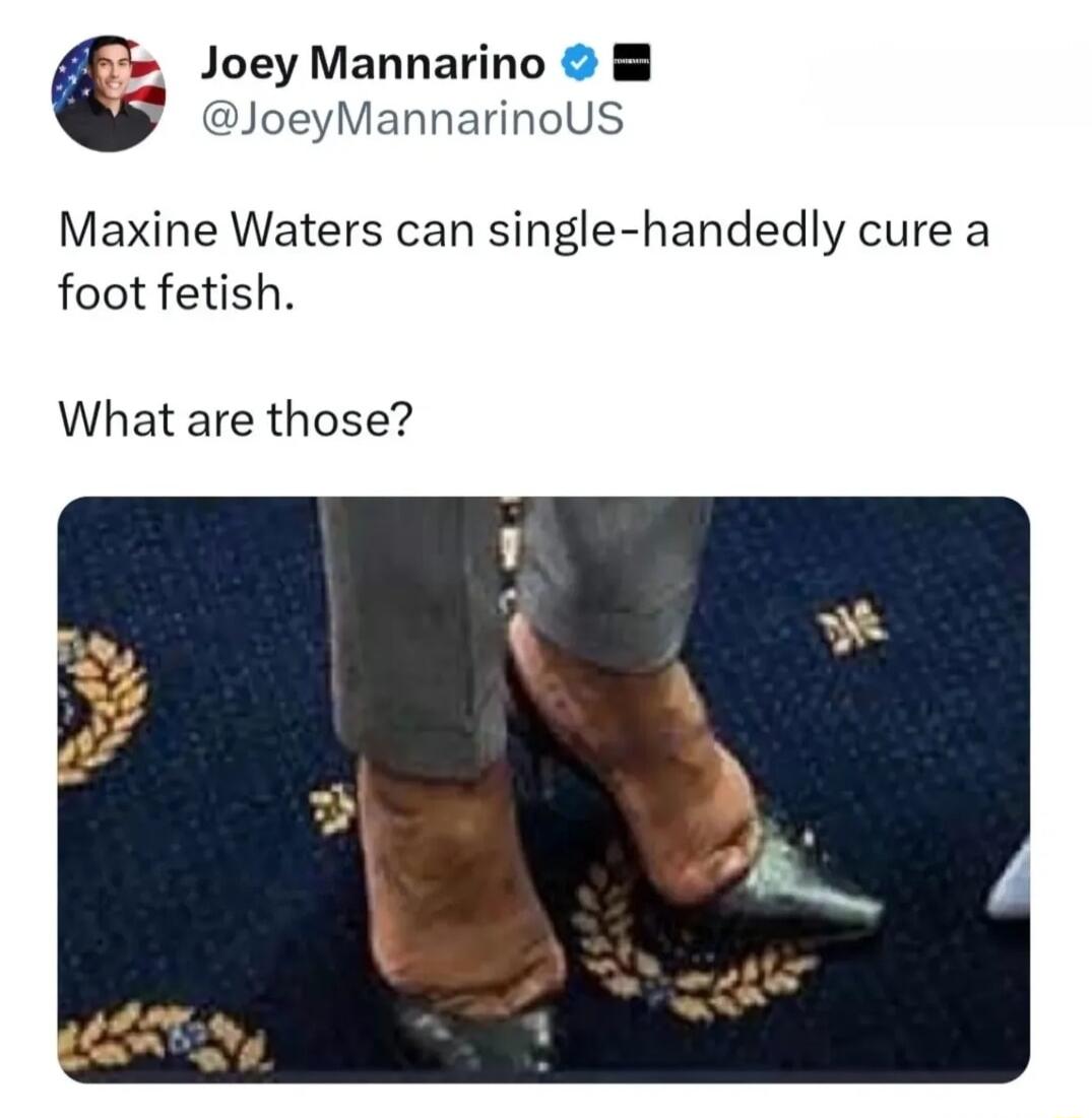 Joey Mannarino JoeyMannarinoUS Maxine Waters can single handedly cure a foot fetish What are those