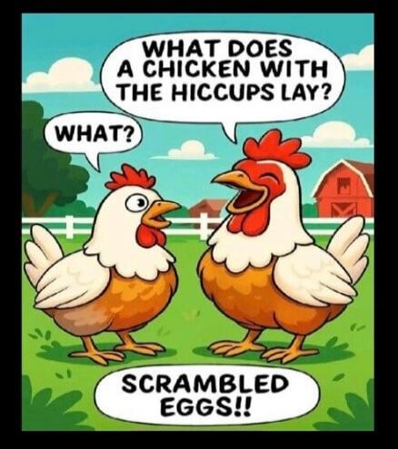 WHAT DOES A CHICKEN WITH THE HICCUPS LAY? WHAT? SCRAMBLED EGGS!!