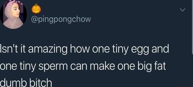 i pingpongchow Isnt it amazing how one tiny egg and one tiny sperm can make one big fat dumb bitch