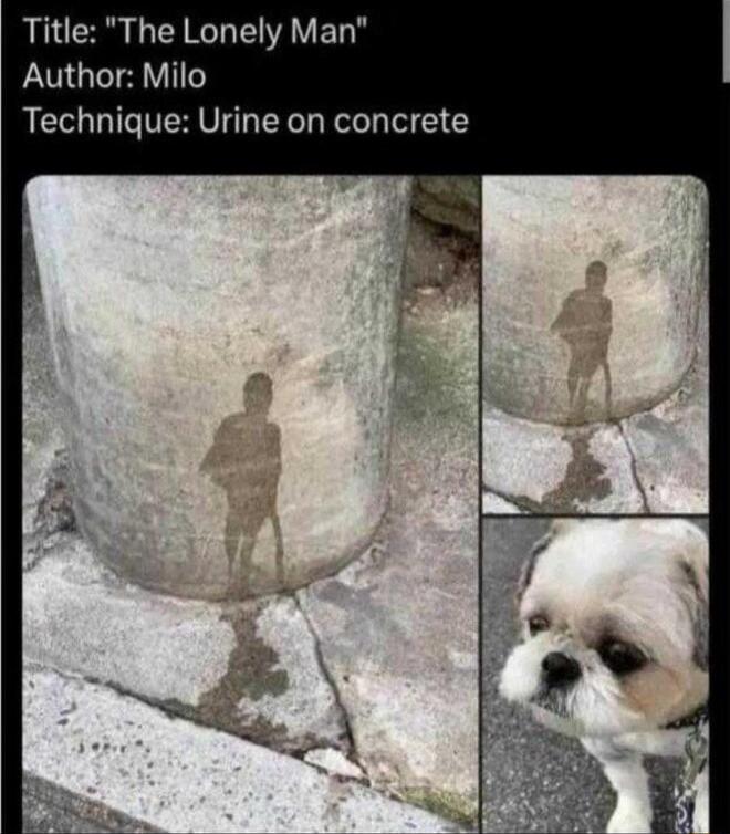 Title The Lonely Man Author Milo Technique Urine on concrete