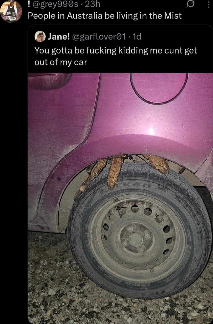 People in Australia be living in the Mist
Jane! @garflower01 1d You gotta be fucking kidding me cunt get out of my car
