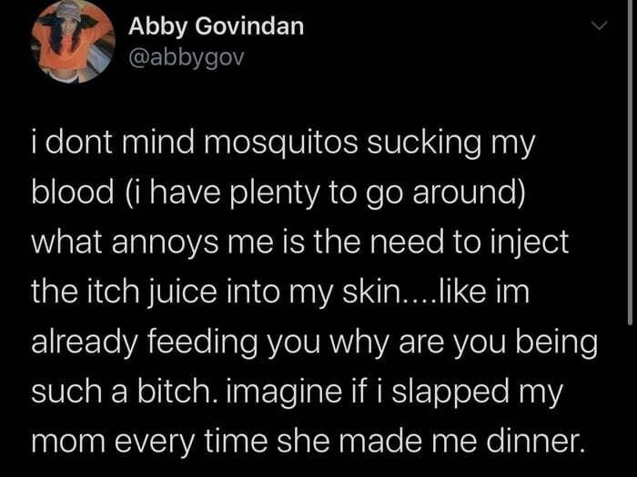 LI R GED abbygov i dont mind mosquitos sucking my sllelele RNaEWLNolTolaVA o e o R1e N ale what annoys me is the need to inject the itch juice into my skinlike im already feeding you why are you being such a bitch imagine if i slapped my mom every time she made me dinner 952 PM 81920 Twitter Web App