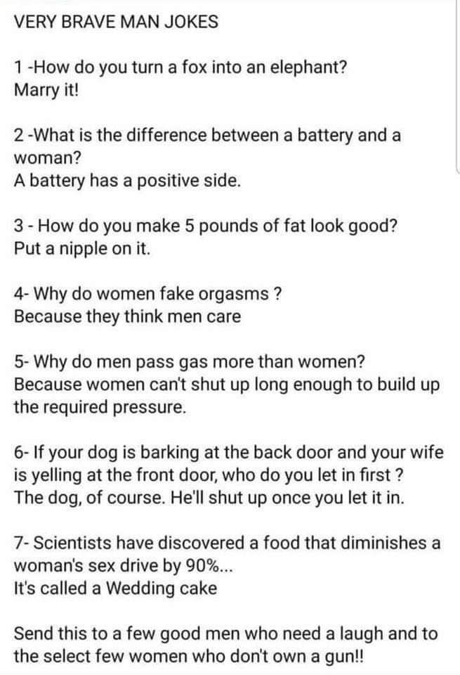 VERY BRAVE MAN JOKES 1 How do you turn a fox into an elephant Marry it 2 What is the difference between a battery and a woman A battery has a positive side 3 How do you make 5 pounds of fat look good Put a nipple on it 4 Why do women fake orgasms Because they think men care 5 Why do men pass gas more than women Because women cant shut up long enough to build up the required pressure 6 If your dog 