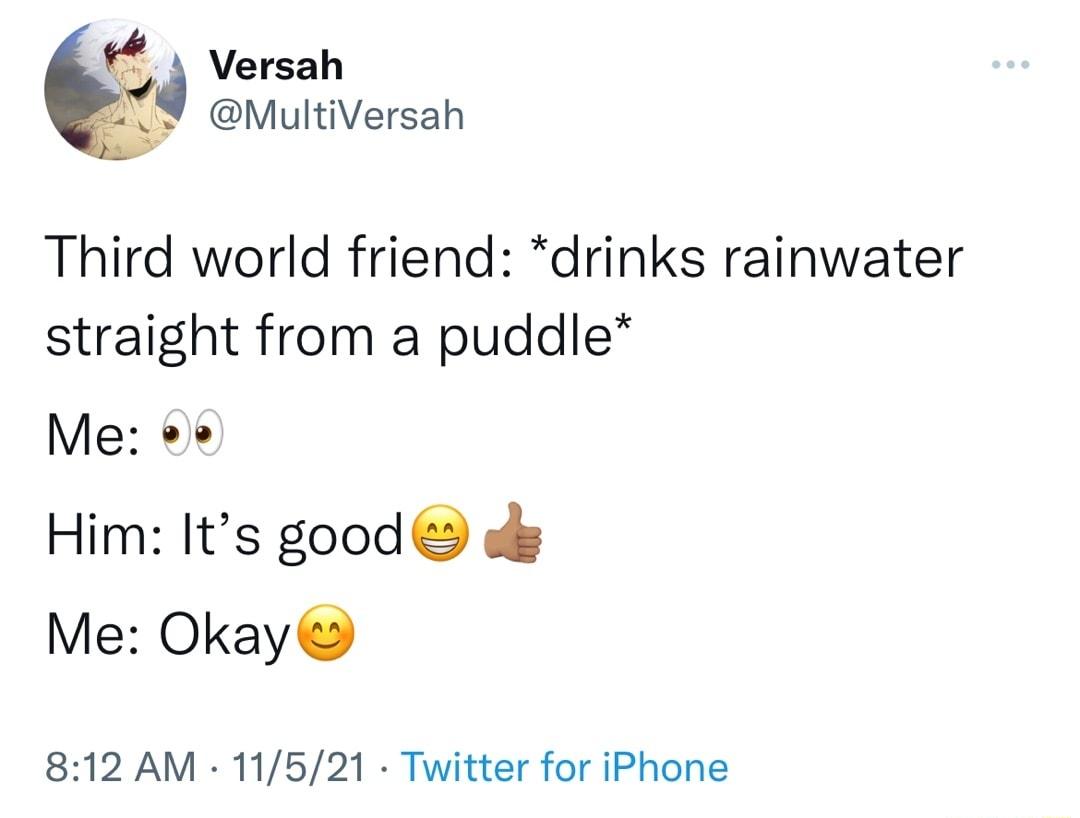 t Versah MultiVersah Third world friend drinks rainwater straight from a puddle Me Him Its good o Me Okay 812 AM 11521 Twitter for iPhone