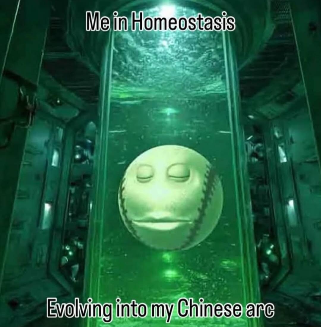 Me in Homeostasis
Evolving into my Chinese arc