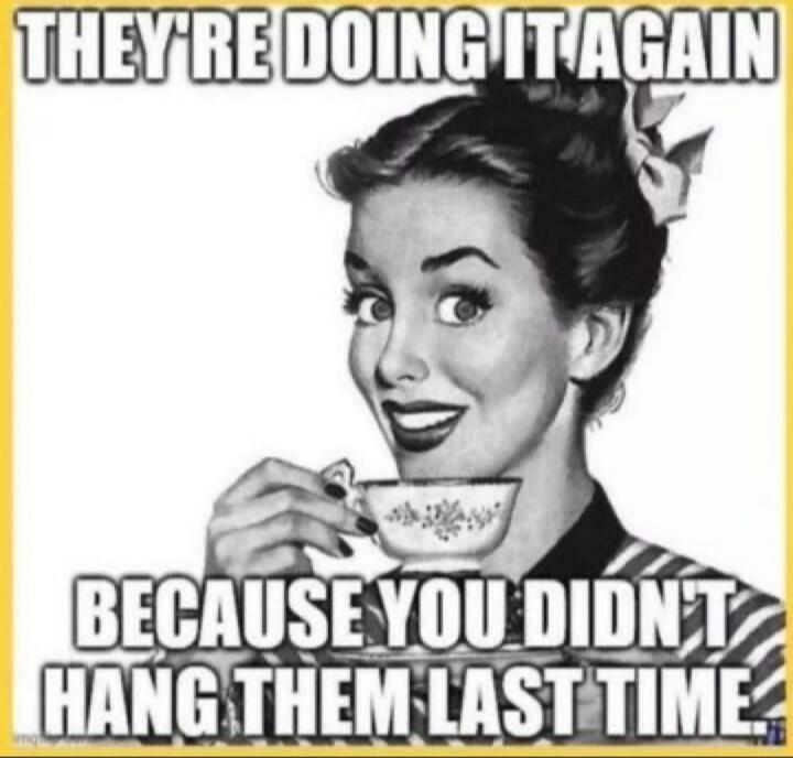 THEY'RE DOING IT AGAIN BECAUSE YOU DIDN'T HANG THEM LAST TIME