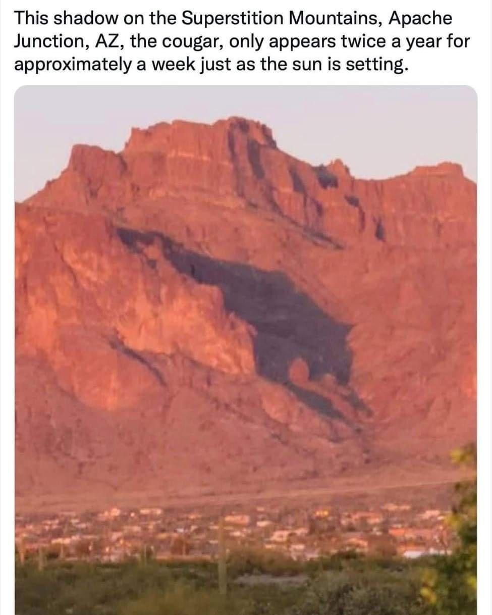 This shadow on the Superstition Mountains Apache Junction AZ the cougar only appears twice a year for approximately a week just as the sun is setting