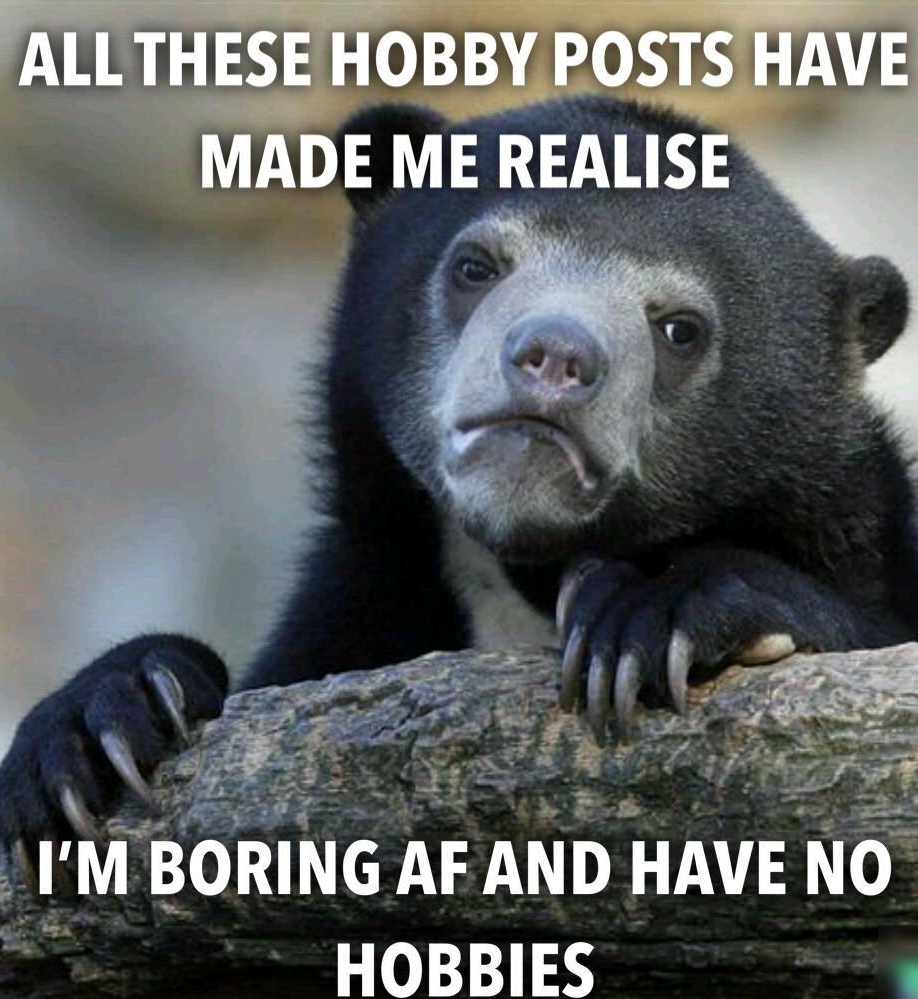 ALLTHESE HOBBY POSTS HAVE ADE ME REAIIS HOBBIES a