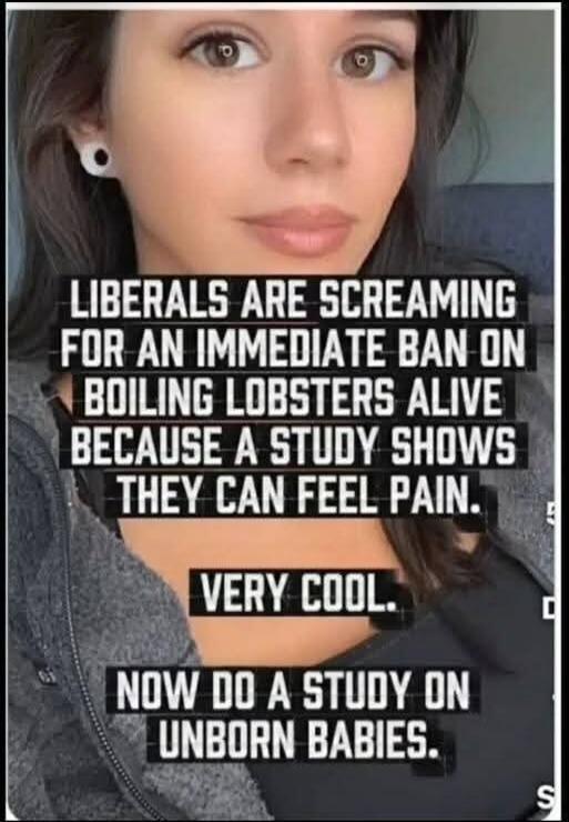 LIBERALS ARE SCREAMING FOR AN IMMEDIATE BAN ON BOILING LOBSTERS ALIVE BECAUSE A STUDY SHOWS THEY CAN FEEL PAIN. VERY COOL. NOW DO A STUDY ON UNBORN BABIES.