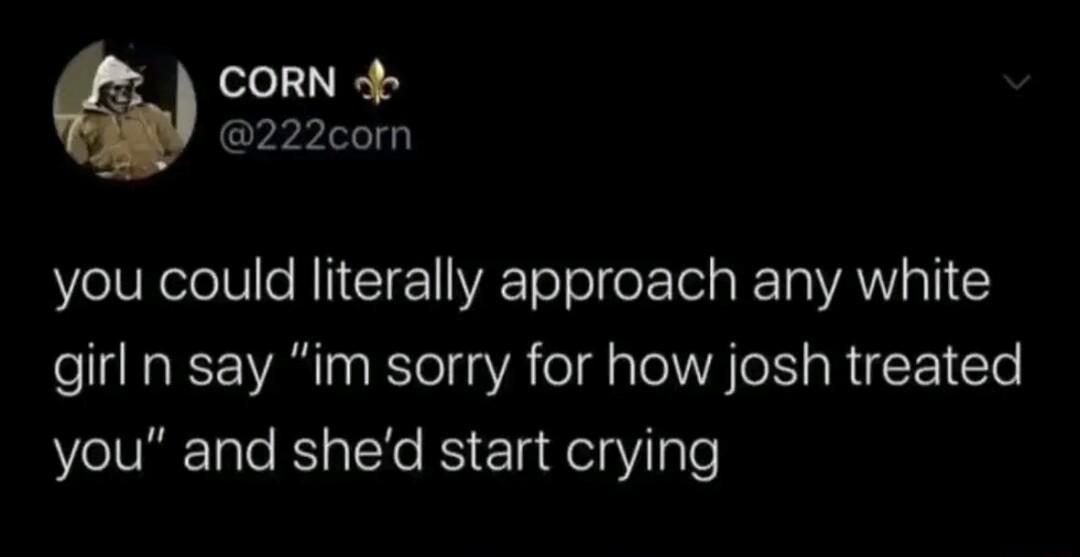 CORN 222com you could literally approach any white girl n say im sorry for how josh treated you and shed start crying