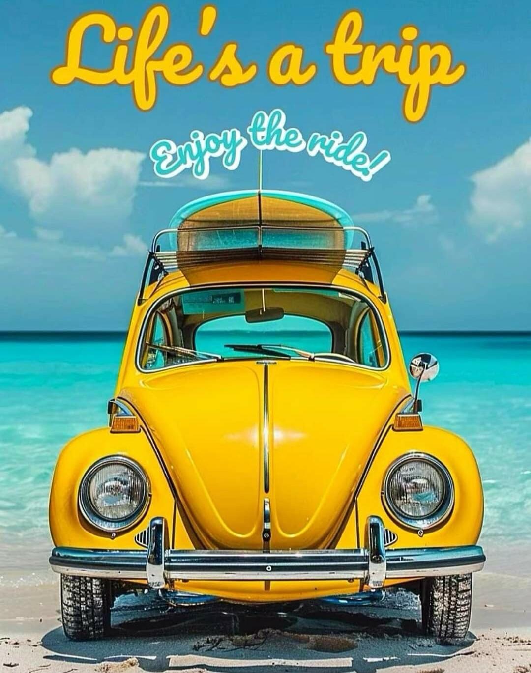 Life's a trip Enjoy the ride!