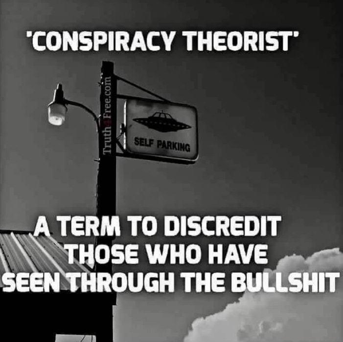 CONSPIRACY THEORIST N II_ERM TO DISCREDIT