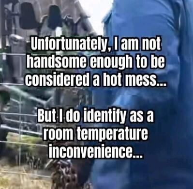 Unfortunately, I am not handsome enough to be considered a hot mess... But I do identify as a room temperature inconvenience...