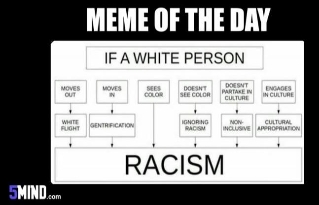 MEME OF THE DAY. IF A WHITE PERSON: MOVES OUT leads to WHITE FLIGHT. MOVES IN leads to GENTRIFICATION. SEES COLOR. DOESN'T SEE COLOR leads to IGNORING RACISM. DOESN'T PARTAKE IN CULTURE leads to NON-INCLUSIVE. ENGAGES IN CULTURE leads to CULTURAL APPROPRIATION. All these actions ultimately lead to RACISM. 5MIND.com