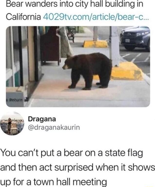 Bear wanders Into city hall bullding In California 4029tv comamclebear C Dragana draganakaurin You cant put a bear on a state flag and then act surprised when it shows up for a town hall meeting