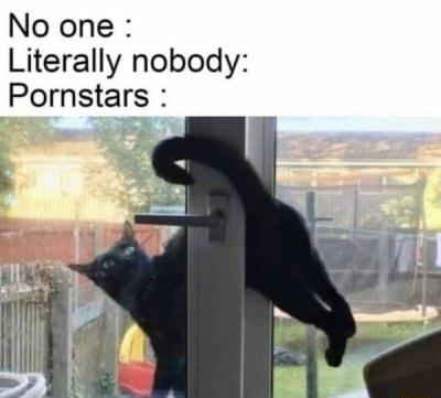 No one Literally nobody Pornstars g