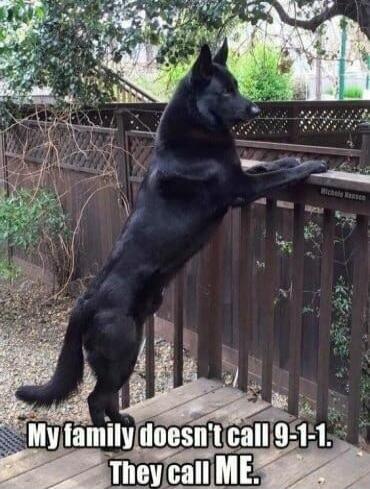 My family doesn't call 9-1-1. They call ME.