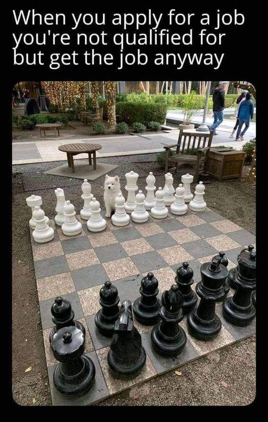 VULl BYOIV T o ol VA eTgkRele oure not qualified for ut get the job anyway