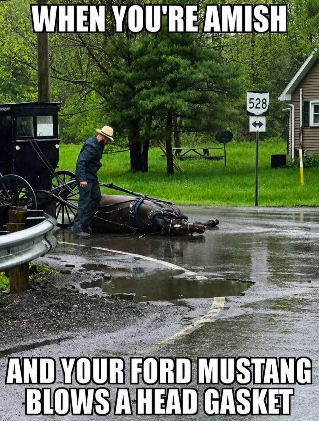 WHEN YOU'RE AMISH AND YOUR FORD MUSTANG BLOWS A HEAD GASKET