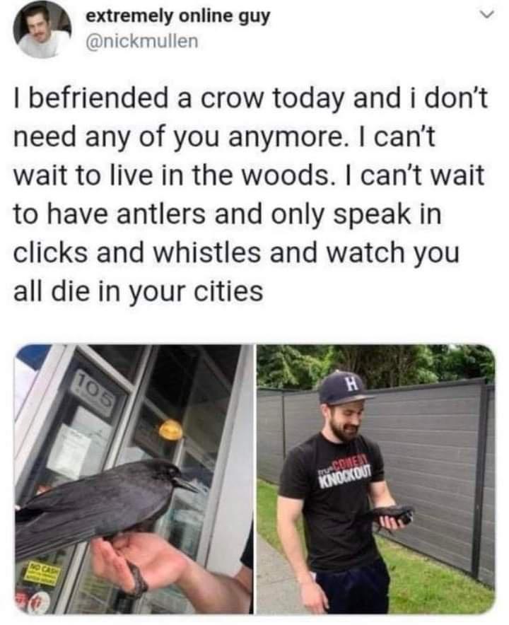 a extremely online guy N nickmullen befriended a crow today and i dont need any of you anymore cant wait to live in the woods cant wait to have antlers and only speak in clicks and whistles and watch you all die in your cities