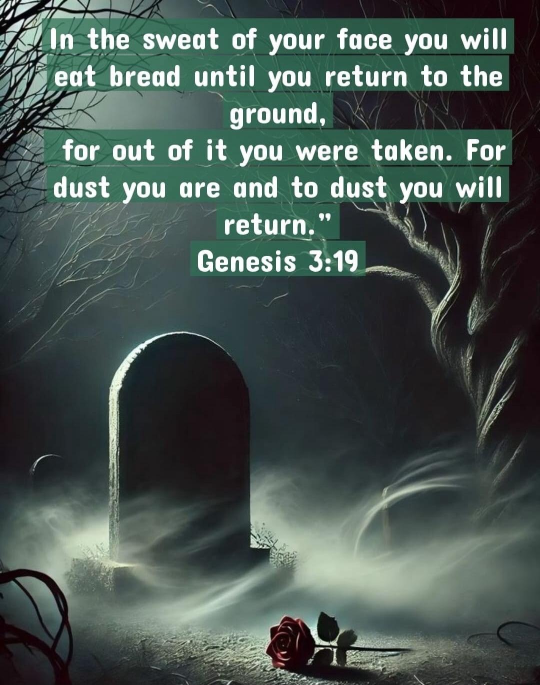 In the sweat of your face you will eat bread until you return to the ground, for out of it you were taken. For dust you are and to dust you will return.