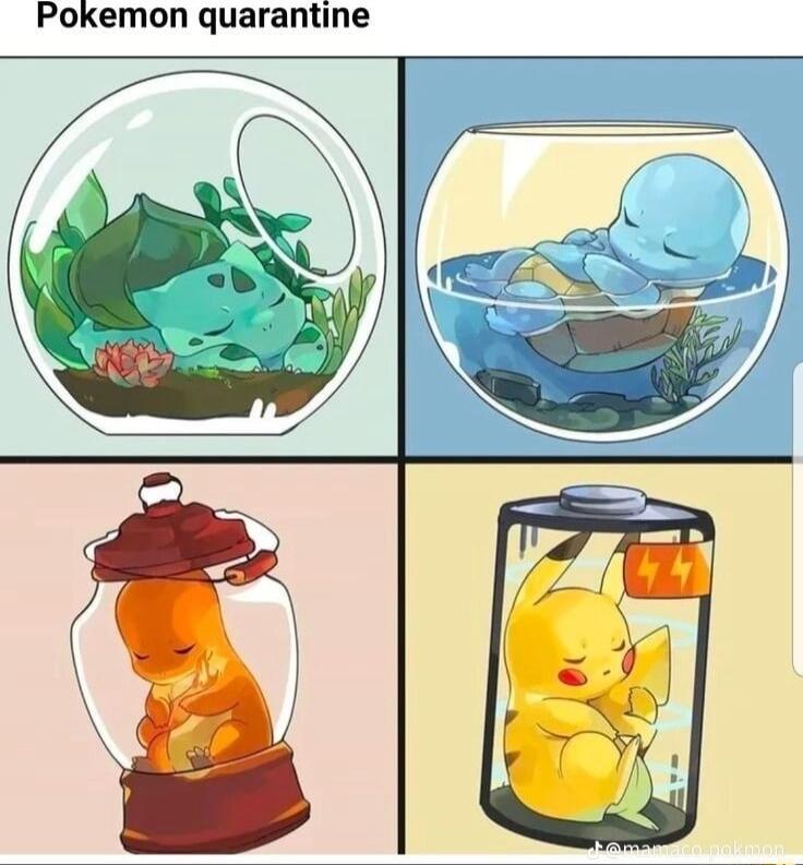 Pokemon quarantine