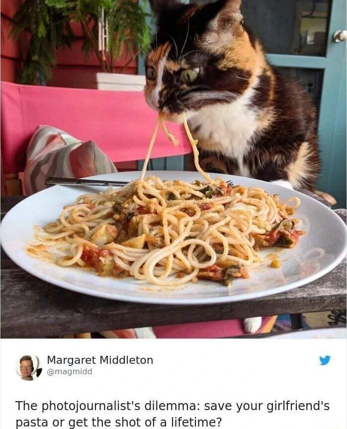 Margaret Middleton The photojournalists dilemma save your girlfriends asta or get the shot of a lifetime