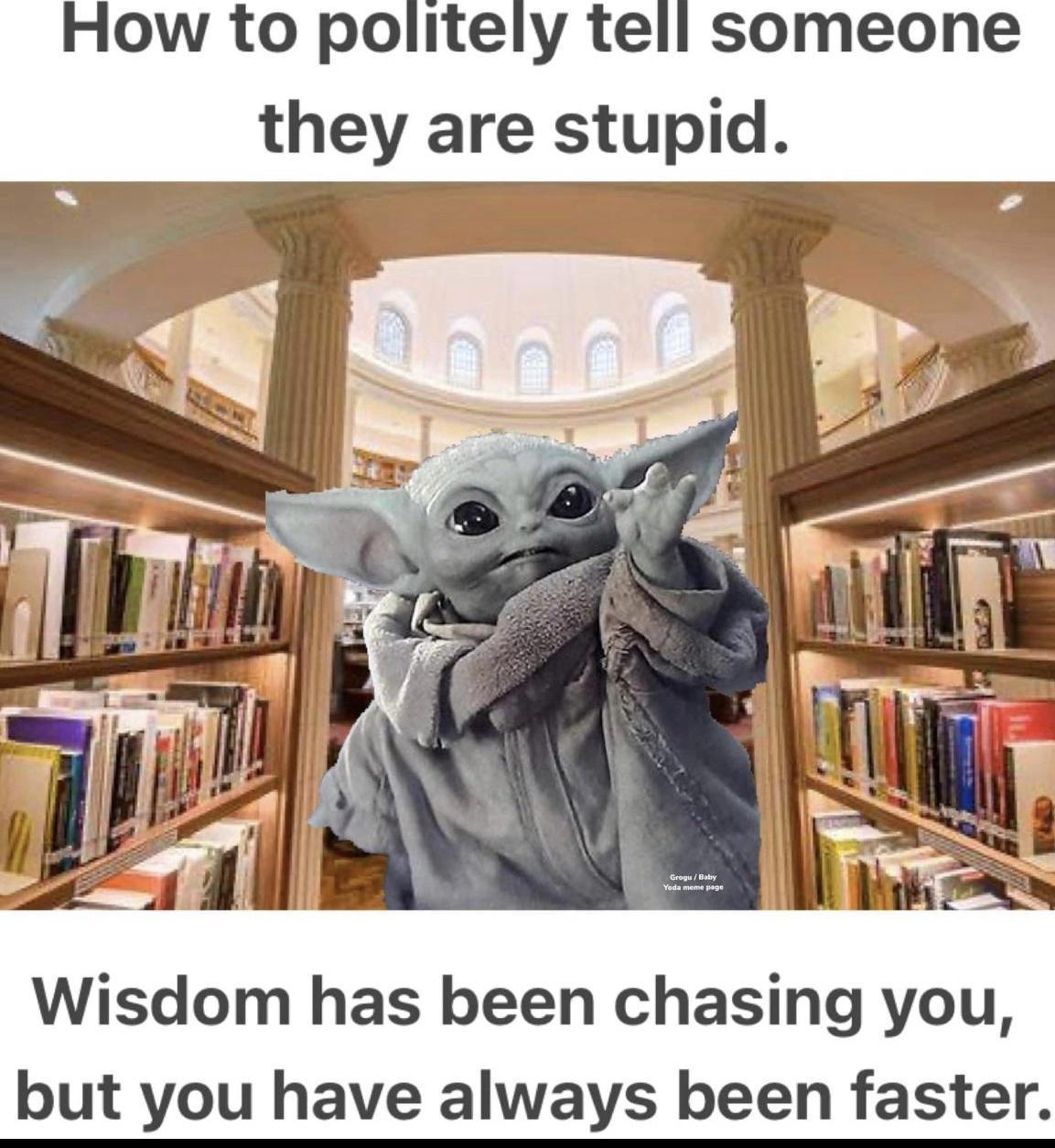 How to politely tell someone they are stupid Wisdom has been chasing you but you have always been faster