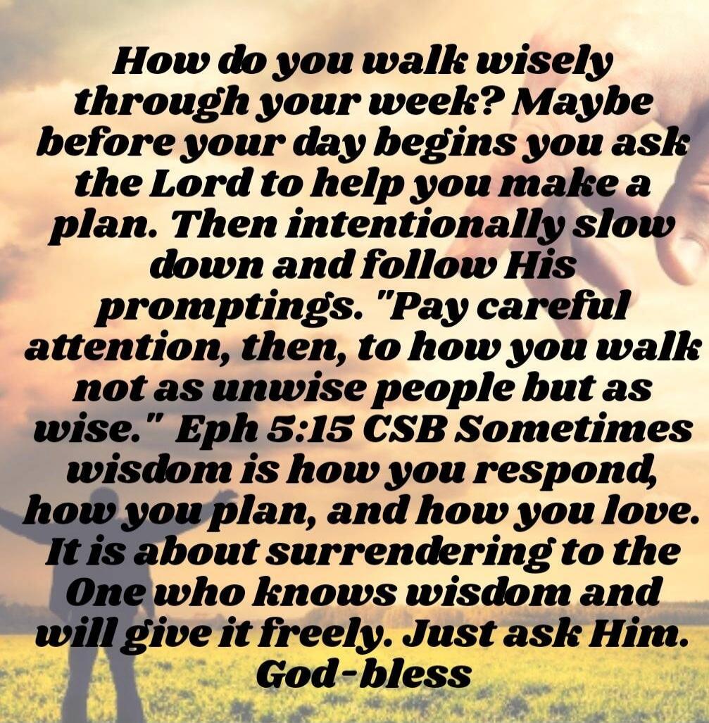 How do you walk wisely through your week? Maybe before your day begins you ask the Lord to help you make a plan. Then intentionally slow down and follow His promptings. 