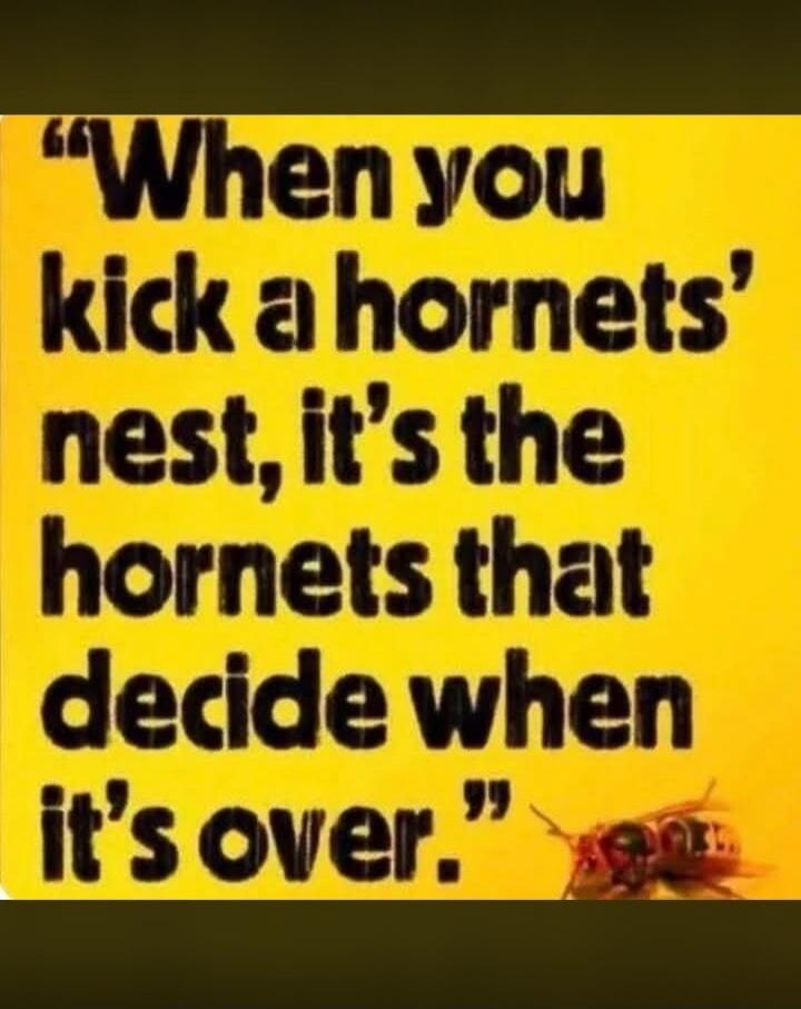 When you kick a hornets' nest, it's the hornets that decide when it's over.