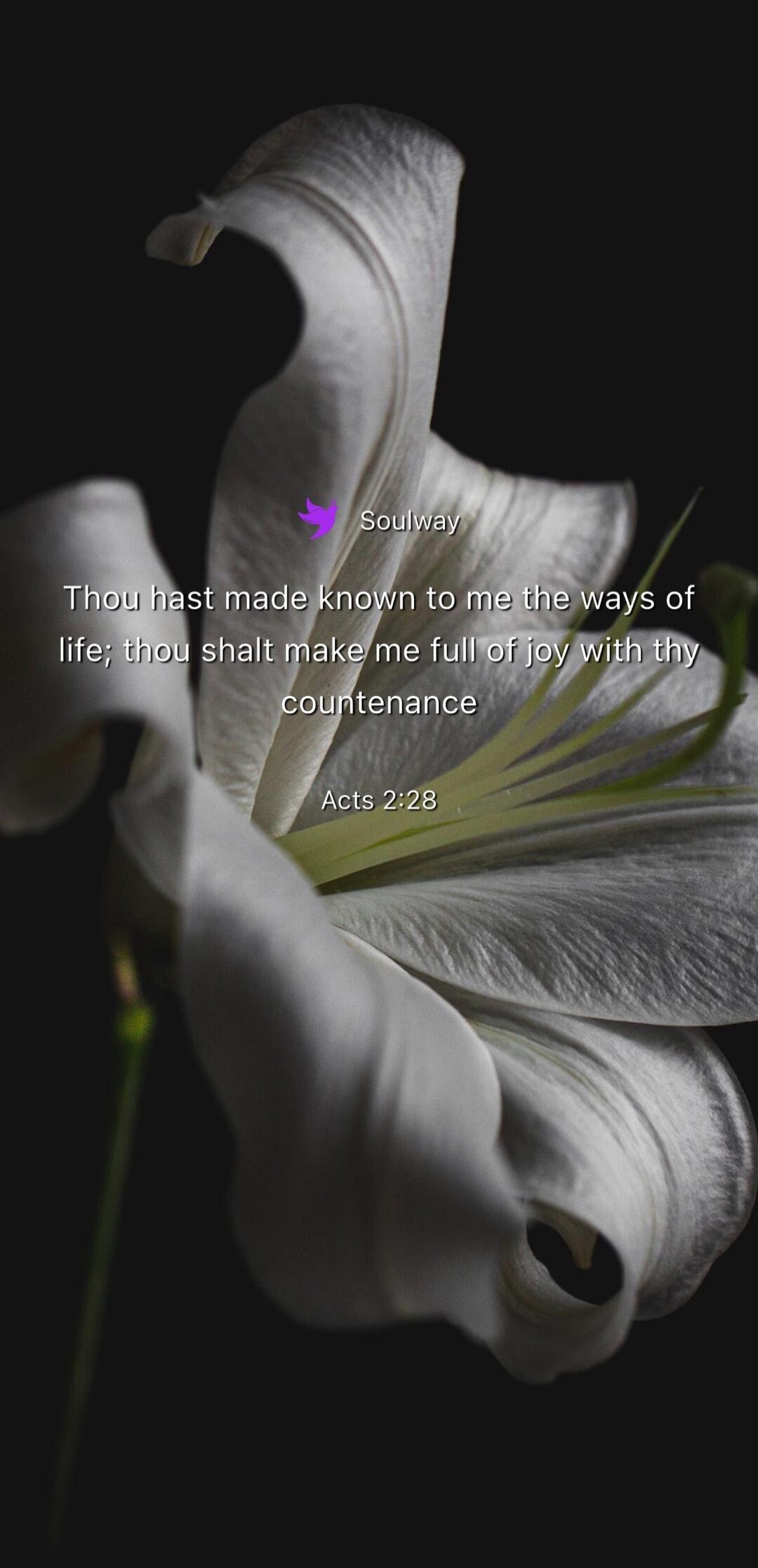 Soulway Thou hast made known to me the ways of life; thou shalt make me full of joy with thy countenance Acts 2:28