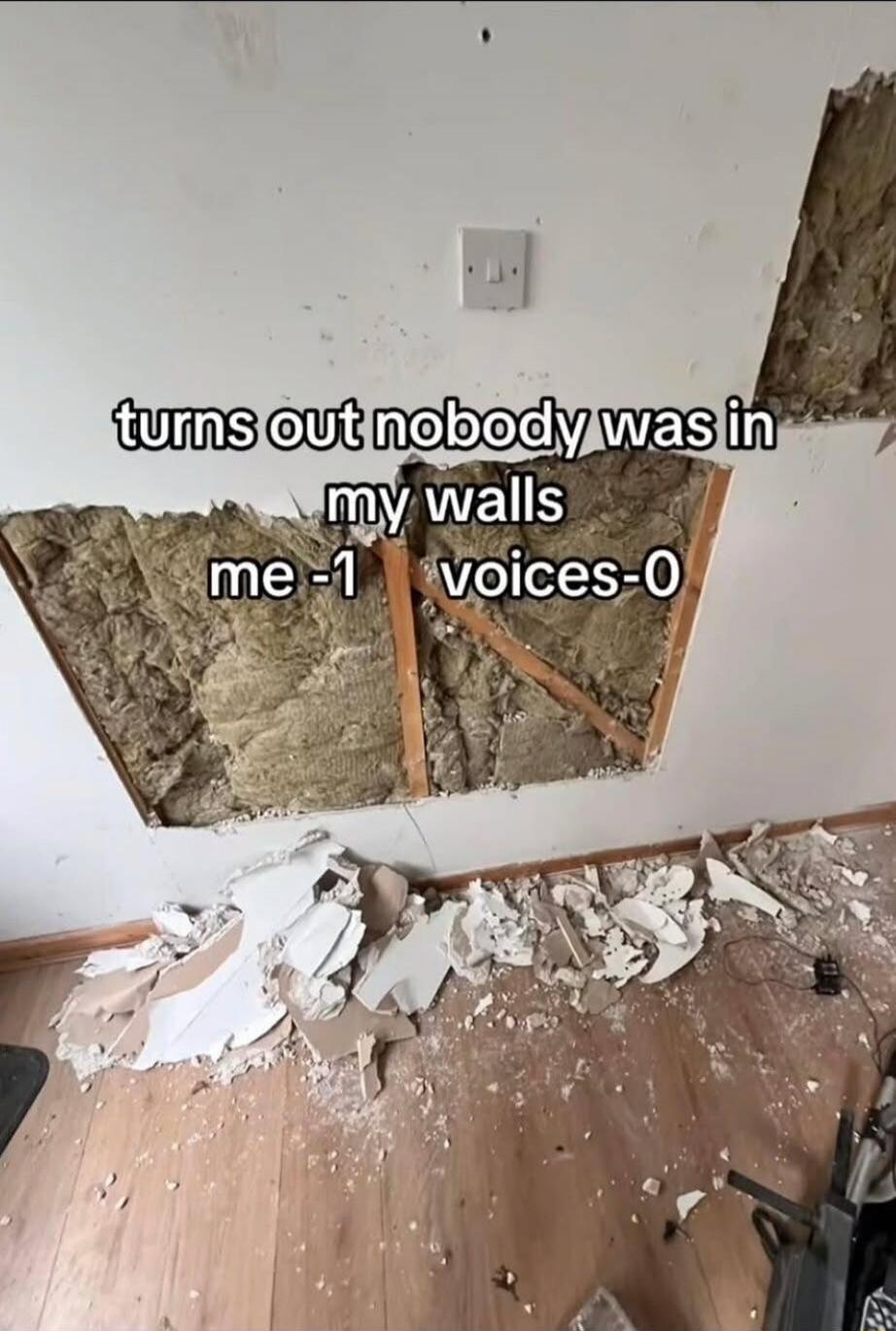 turns out nobody was in my walls me -1 voices-0