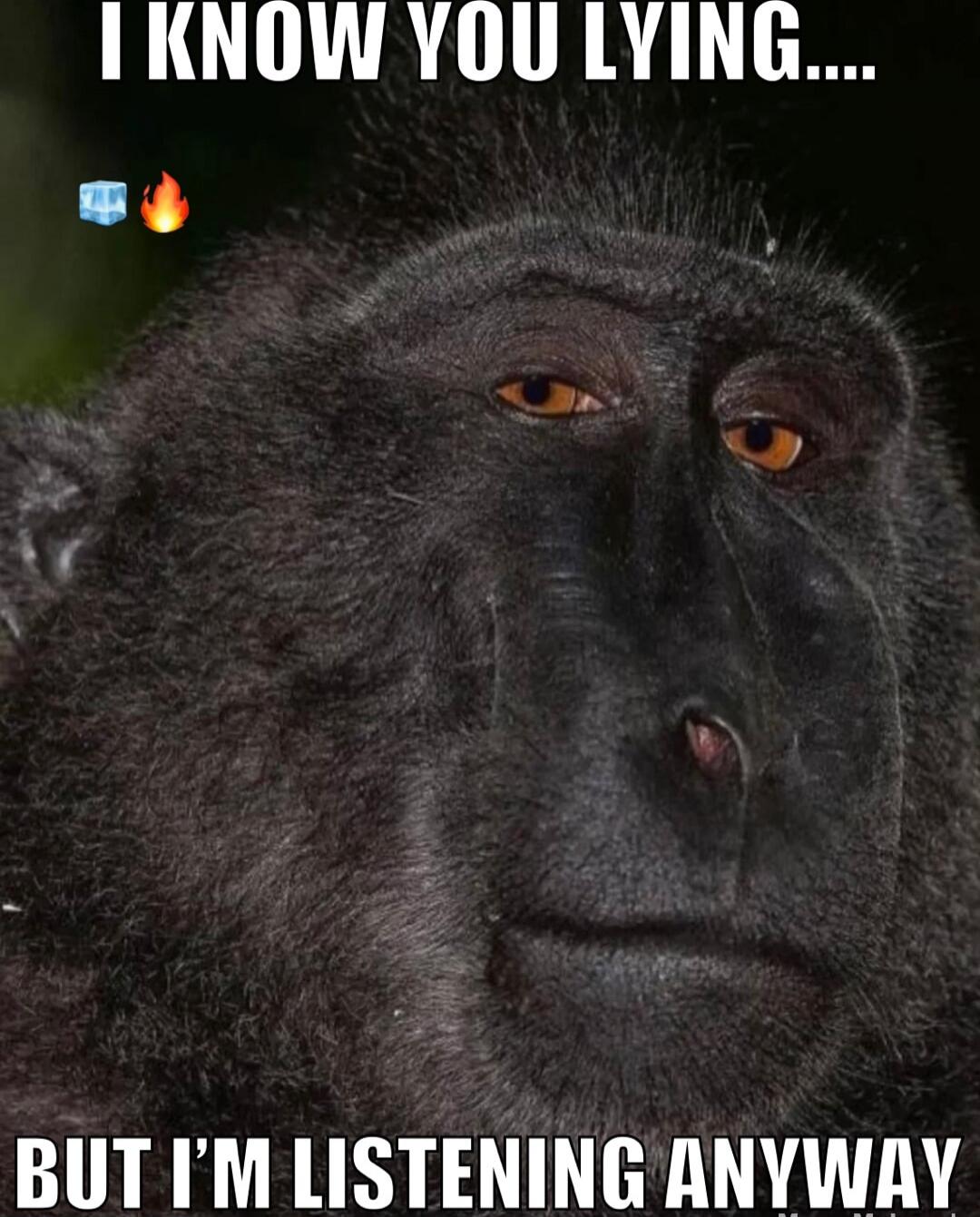 I KNOW YOU LYING... BUT I'M LISTENING ANYWAY