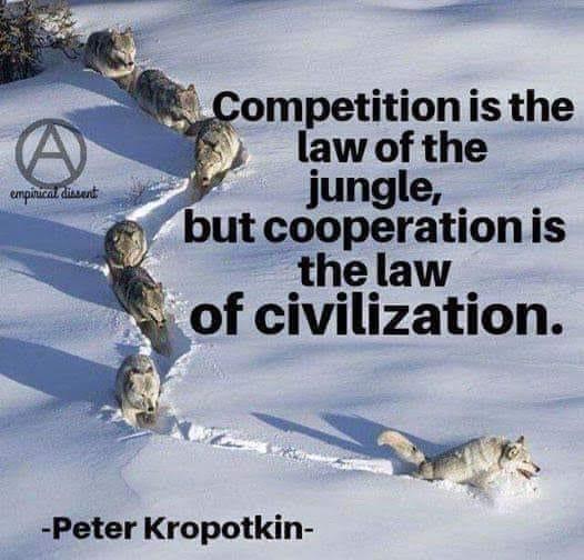 m i Competitionis the lawofthe jungle but cooperationis the law of civilization Peter Kropotkin