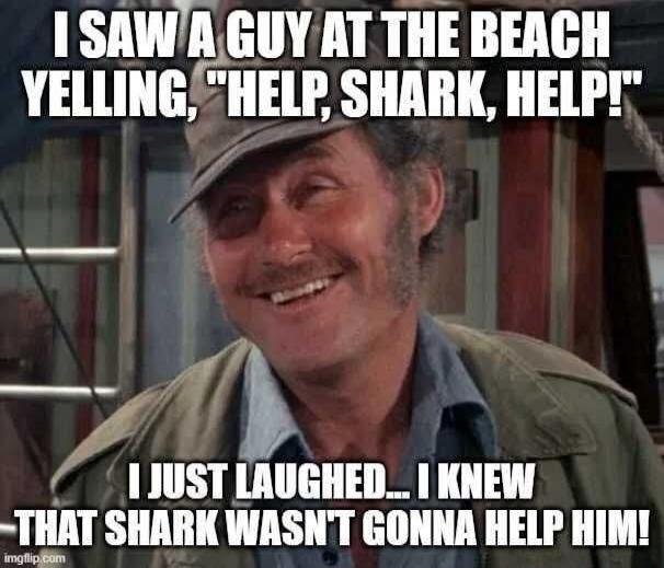 I SAW A GUY AT THE BEACH YELLING, 