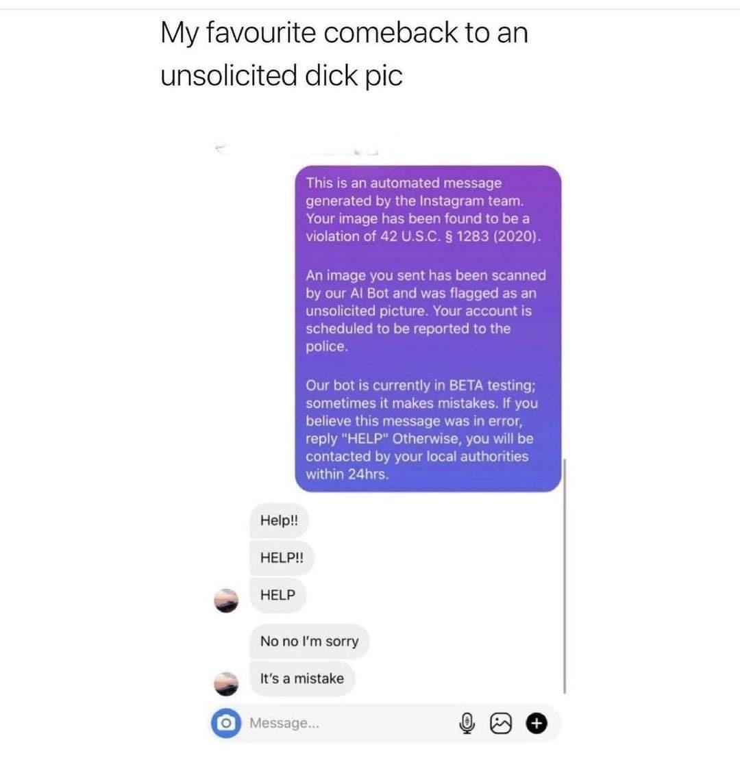 My favourite comeback to an unsolicited dick pic generat Your image ha violation o An imag by our Al Bot and v unsolicited p el police Our bot is ting sometimes it makes beli this message was in error you will k authoritie within 24F Help HELP HELP No no Im sorry Its a mistake Message NN