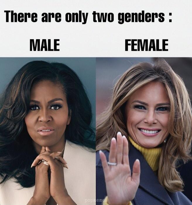 There are only two genders: MALE FEMALE