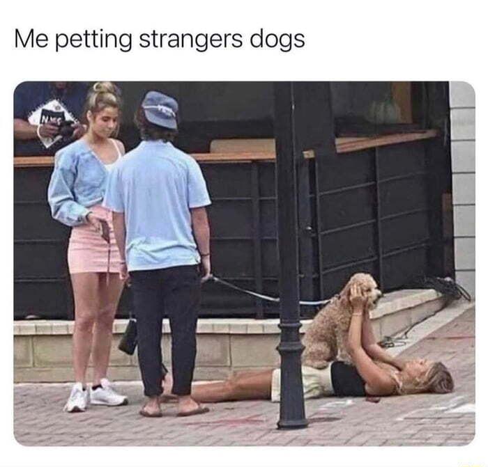 Me petting strangers dogs