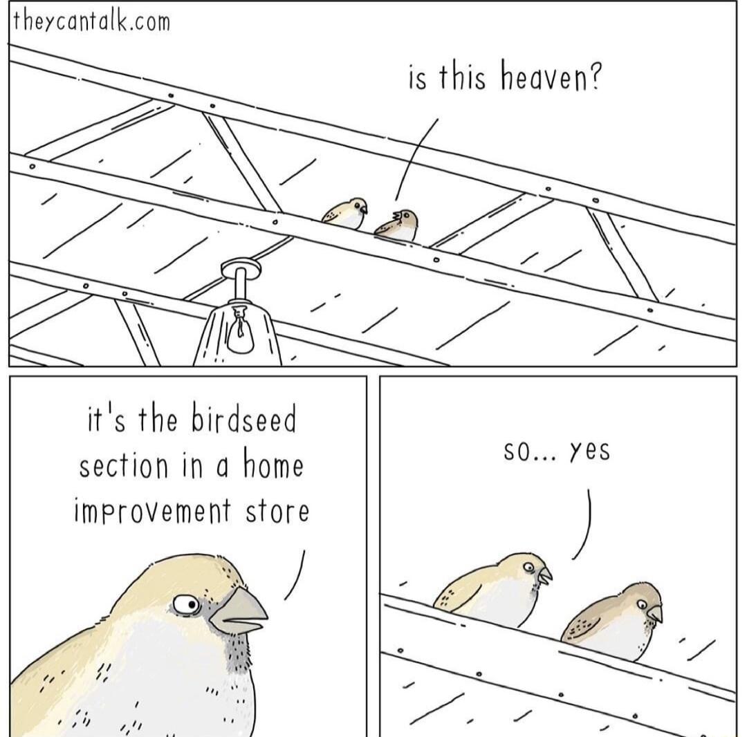 thercantalk con is this heaven its the birdseed section in a home improvement store