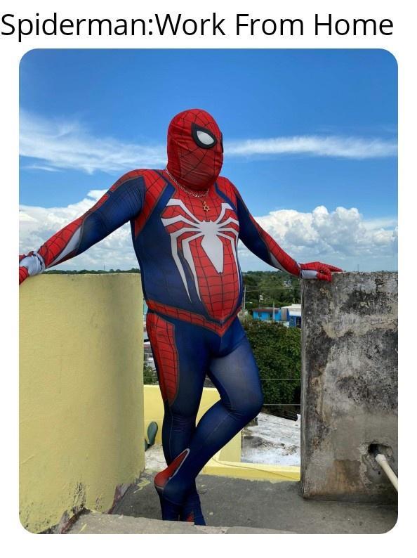 SpidermanWork From Home