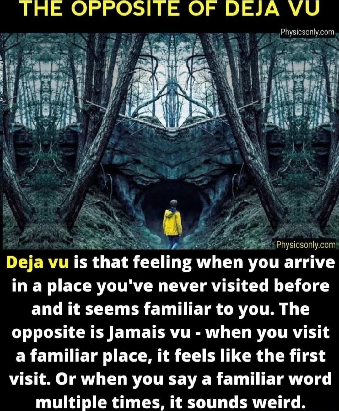 THE OPPOSITE OF DEJA VU
Deja vu is that feeling when you arrive in a place you've never visited before and it seems familiar to you. The opposite is jamais vu - when you visit a familiar place, it feels like the first visit. Or when you say a familiar word multiple times, it sounds weird.