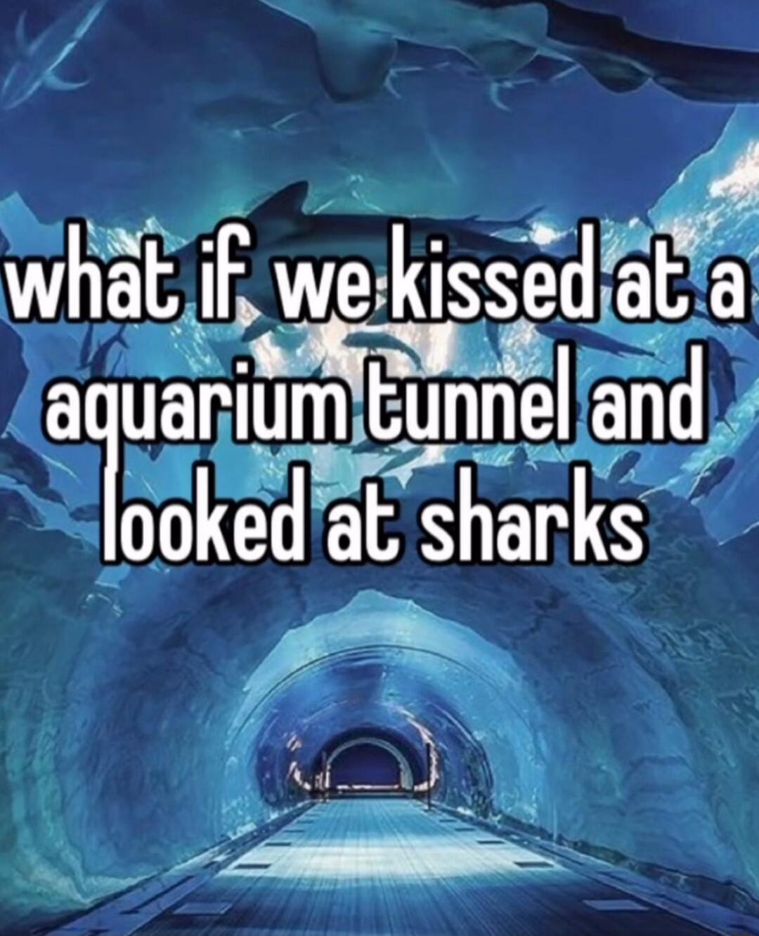 what if we klssed ata A aquanium tunnel and 4 lLoked at sharks e o AI 3 l 8 3