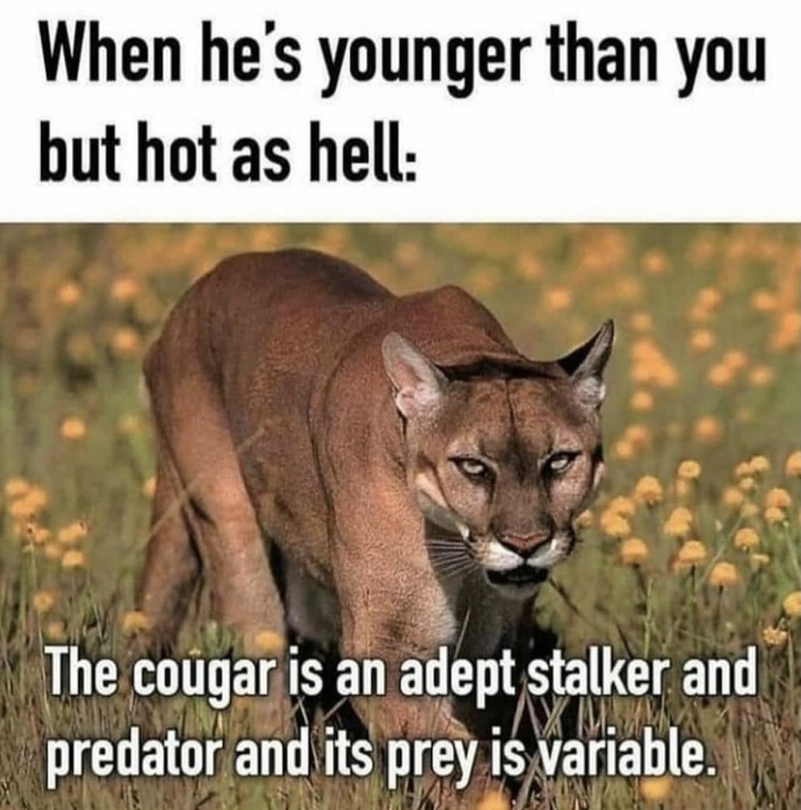 When hes younger than you but hot as hell j The cougar IS an adept EILCIEN predator andits prey s varlahle