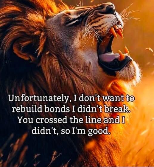 Unfortunately, I don't want to rebuild bonds I didn't break. You crossed the line and I didn't, so I'm good.