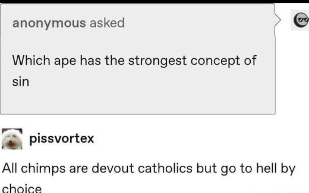 anonymous asked Which ape has the strongest concept of sin pissvortex All chimps are devout catholics but go to hell by choice