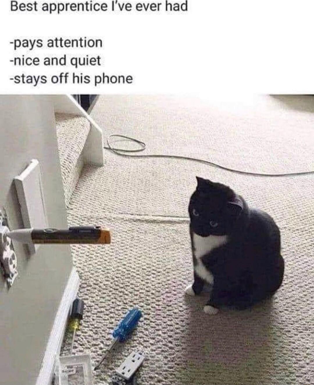 Best apprentice Ive ever had pays attention nice and quiet stays off his phone