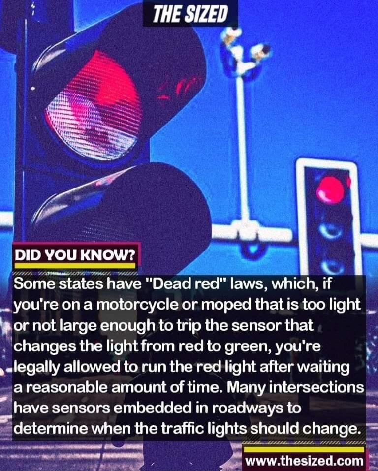 p S DID YOU KNOW i ELUERE EE EVER G EEC T EVERVG TN lf youre on a motorcycle or moped thatis too light _ bor not large enough to trip the sensor that changes the light from red to green youre legally allowed to run the red light after waiting 2 reasonable amount of time Many intersections _ have EELELTSTEN GEL R ER GG ET WETVER B cdalarmme when the traffic lights should change o 5 j wwwthesizedcom