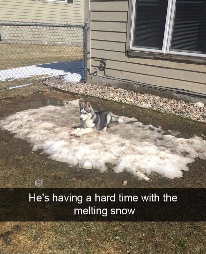 e N EV N EIG Rl A RG melting snow