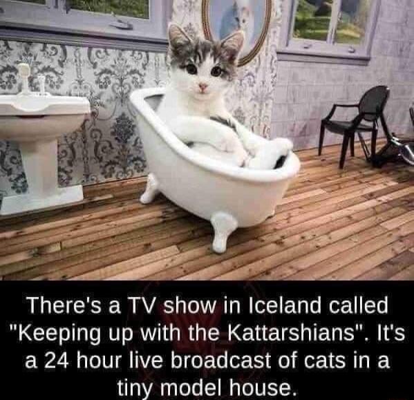 Theres a TV show in Iceland called R CE LN AR GEREHELSH ET SIS ERZR CVEIVERIGET R feo o1 Y tiny model house 1CO