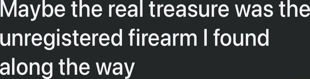Maybe the real treasure was the unregistered firearm I found along the way
Session ID: 1030014.
